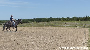 Boonwalkin - working the flag! - ValleyViewRanch.net
