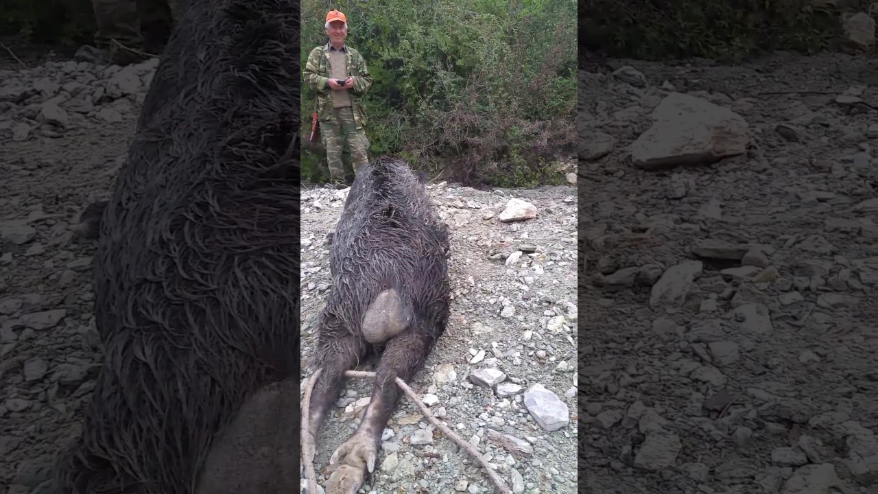 The biggest balls ever! !!! YouTube