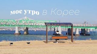 Моя утренняя рутина в Корее: остров Нодыль, корейская еда