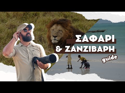 Βίντεο: Πώς να πάτε στο σαφάρι στην Τανζανία