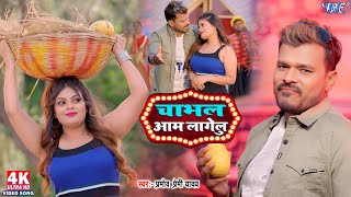 #Video | चाभल आम लागेलु | #Pramod Premi Yadav | Bade Bade Aam | New #Bhojpuri #song #2025