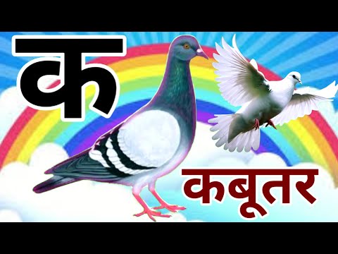 अ से अनार | आ से आम | a se anar | aa se aam | क से कबूतर | K