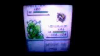 Pokemon yellow    catching SHELLDER at SUPER ROD in n70