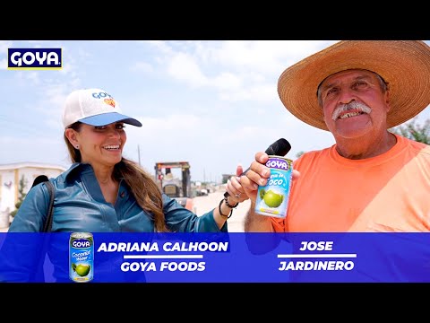 Goya agua de