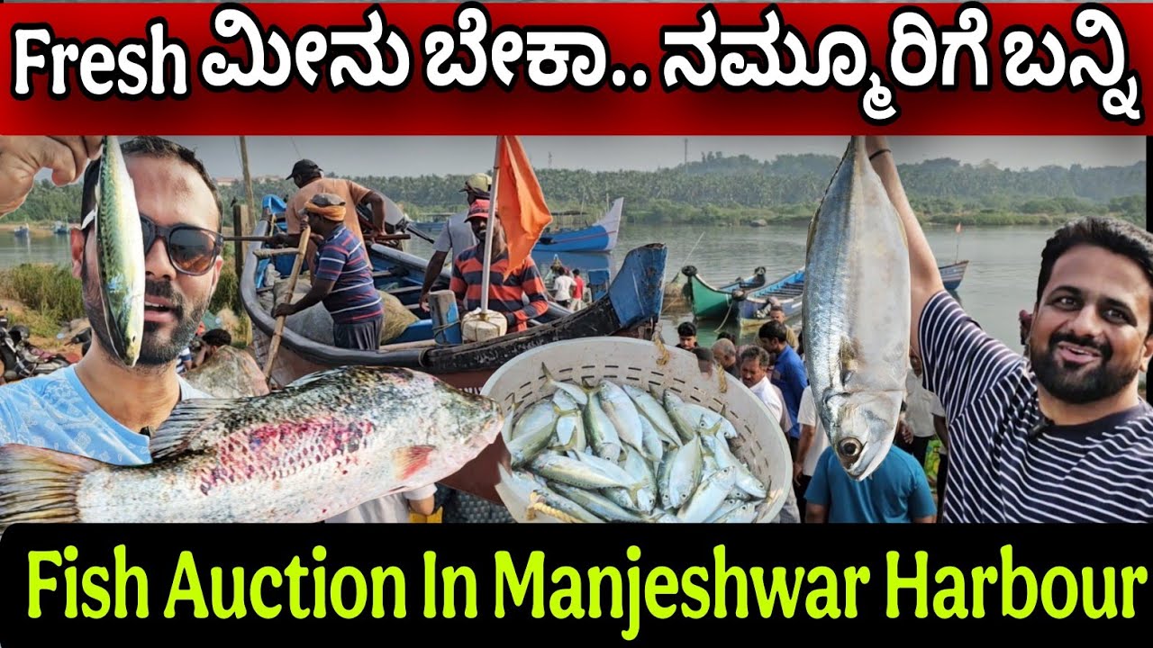 Fresh ಮೀನು ಬೇಕಾ.. ನಮ್ಮೂರಿಗೆ ಬನ್ನಿ | Fish Auction In Manjeshwar Harbour | ಮೀನು auction ತಕೊಂಡೆವು