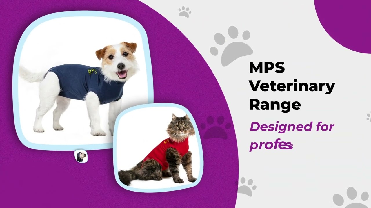 TailMe Medical Recovery