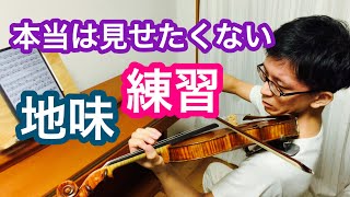 セブシックSevcik Op.8 No.8 ポジション移動練習の実際、赤裸々な公開