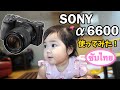 【α6600】で赤ちゃんの動画撮影をしてみた【レビュー】【SONY】Take Video Review【α6600】