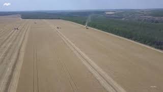 Жнива з висоти пташиного польоту ФГ Оазис. Agriculture combine harvester Claas lexion. agro drone