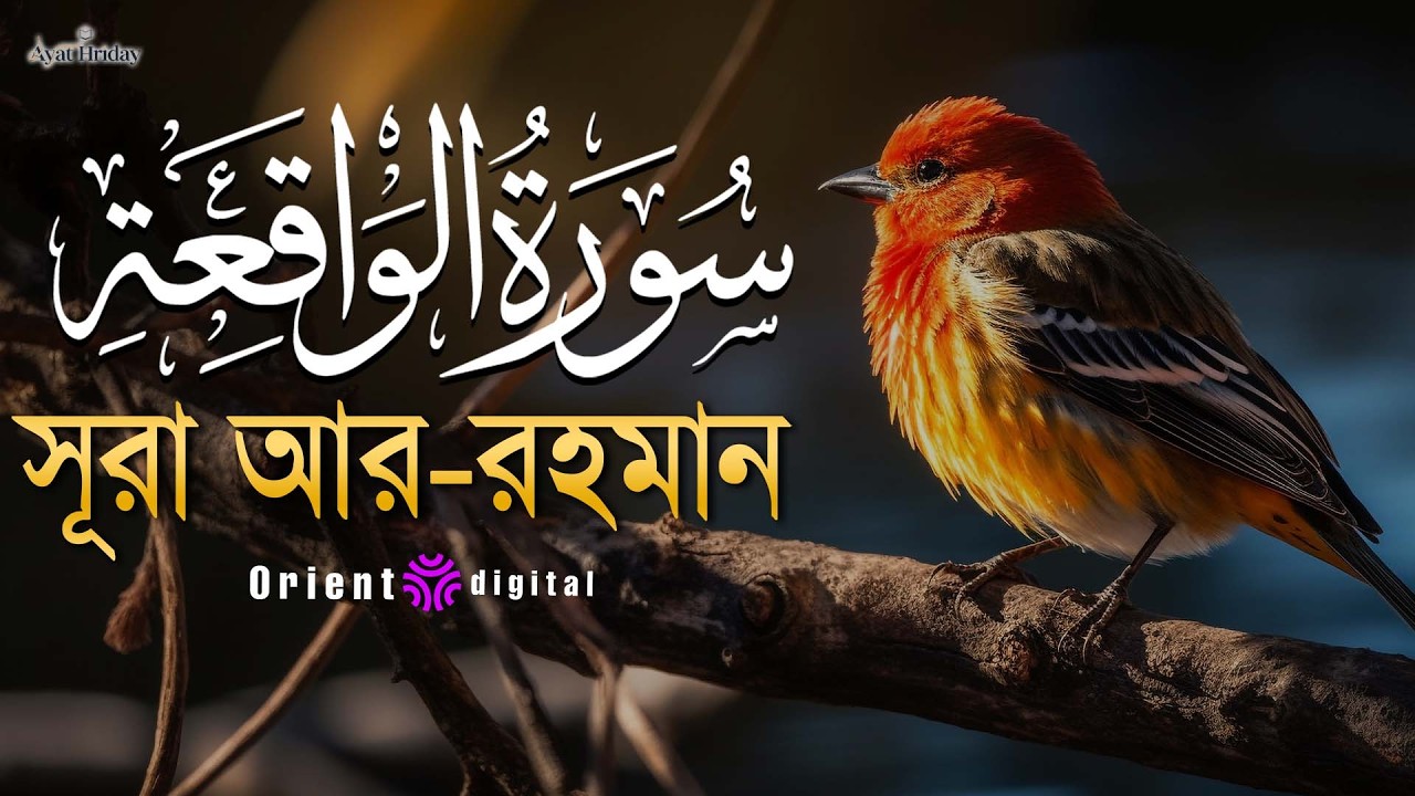 সূরা ওয়াকিয়াহ এর আবেগময় তিলাওয়াত (سورة الواقعة) | Surah Al-Waqiah Recited by Mostafa El Lahony