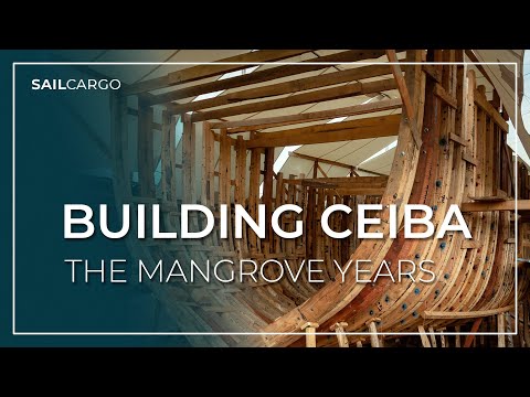 Building CEIBA: The Mangrove Years