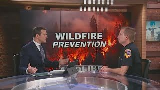 PG&E Power Shutoffs and Wildfire Prevention