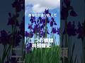 二つの横顔(林部智史)あなたに会いたくて #love #music #song #林部智史 #shorts #shortvideo #short #art #flowers #art #like