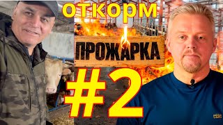 видео: Откорм бычков на привязи в рамках рубрики  картинка: Откорм бычков на привязи в рамках рубрики