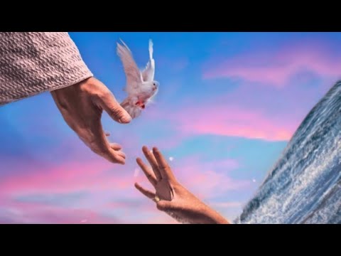 Amir Nazari - River Runs