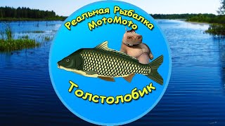 Как поймать Толстолобика на Рыбхозе [NEW] | Реальная Рыбалка