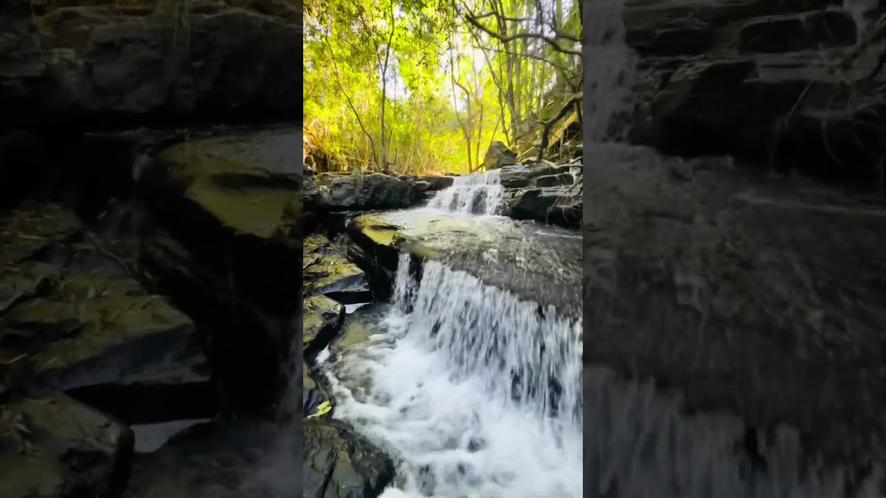 Hidden waterfall at Chichester, Barrington Tops 🌿