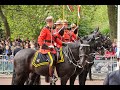 NEWS- CANADA BẮT NHIỀU NGƯỜI GÂY RỐI KHI BIỂU TÌNH ỦNG HỘ &amp; PHẢN ĐỐI NHẬP CƯ Ồ ẠT &amp; BẤT HỢP PHÁP