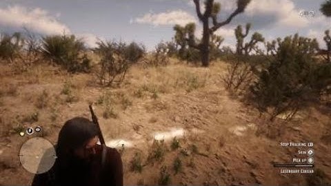 almost gave me a heart attack