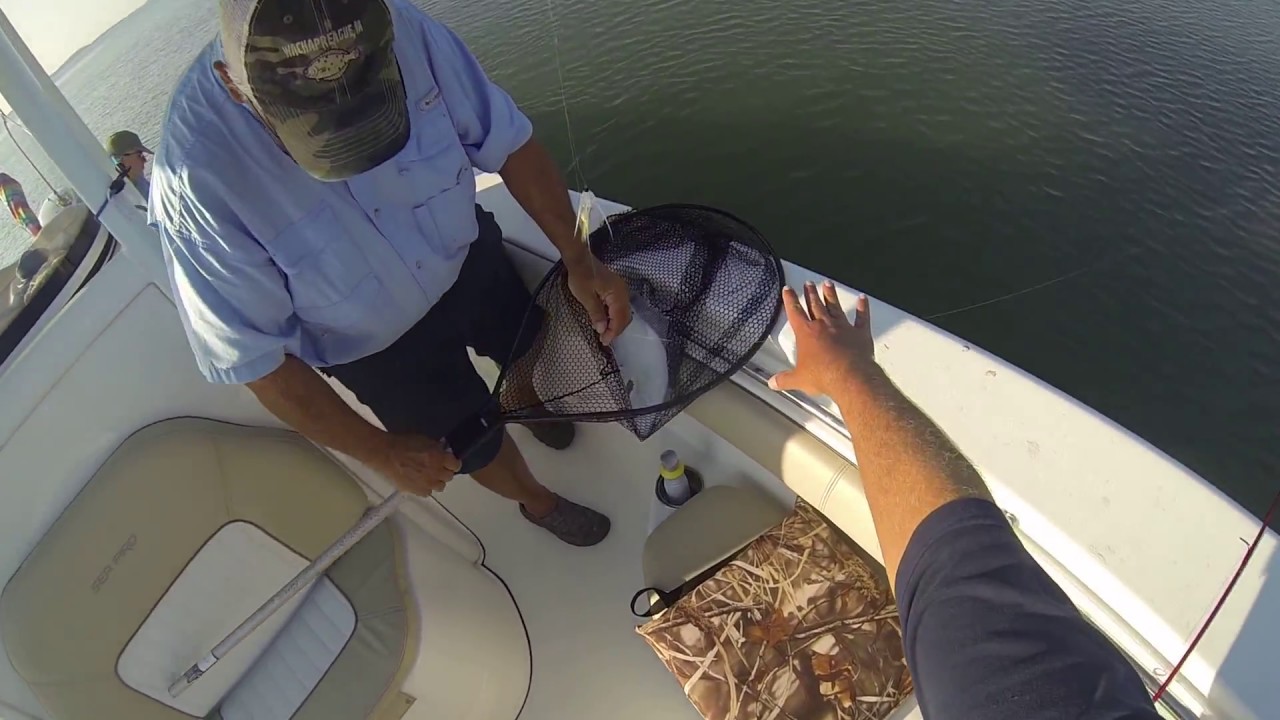 July 22nd and 24th 2017 Wachapreague, Virginia Flounder Fishing YouTube