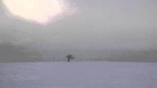 Cornu Youpi Space Spaghetti Mix