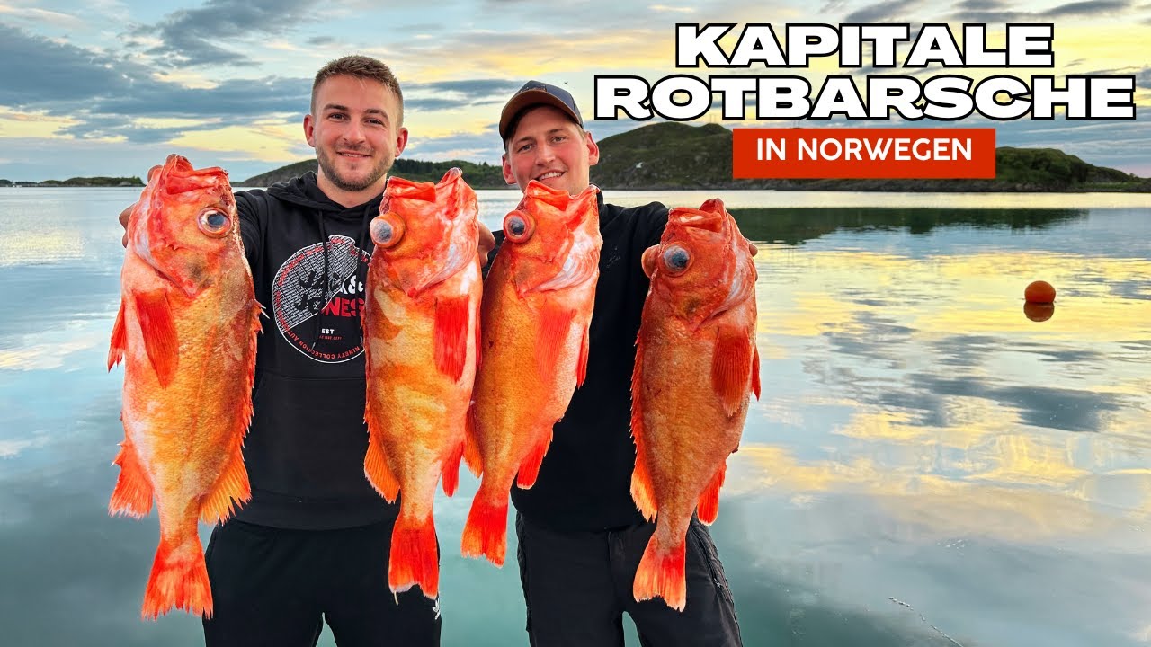 Die Tiefsee ruft: So fangen wir Monster-Rotbarsche in Norwegen!