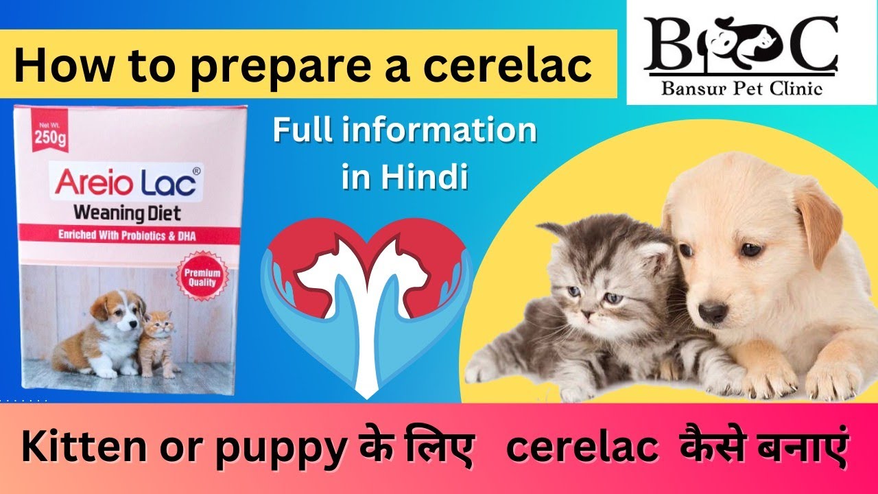 How To Prepare A Cerelac PET Cerelac Areio Lac how-to-prepare-a-cerelac-pet-cerelac-areio-lac