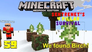Birch! | 4 Pillar Survival with SentreNet: Ep 59 | Minecraft SkyBlock