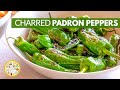 ROLL the DICE for SUPER SPICE with Spanish PADRON PEPPERS TAPAS Recipe! 1 in 100 WILL BE SUPER HOT!
