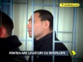 interceptări Andrei Pântea - Ion Șoltoianu