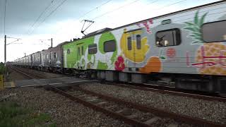 3198次區間車與513次莒光號通過斗南鎮部前寮平交道(2019台灣燈會在屏東彩繪列車)