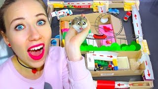 Новая Игровая Комната И Полоса Препятствий для Хомяка - ХОМЯК ИГРАЕТ | Elli Di Pets