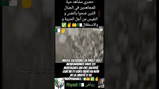 Images Exclusives En Direct Des Moudjahidines Dans Les Montagnes