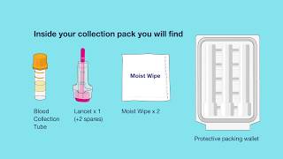Allergy Testing remotely in the UK sample instructions London Allergy and Immunology Centre