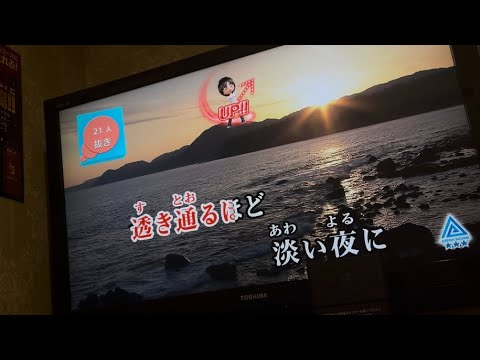 全国グランプリ採点513人中315位水平線歌ってみた91点