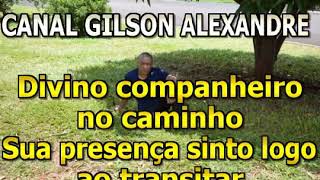 Divino Companheiro play back