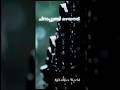 #Chirapunji | Music Video | Nihal Sadiq | Hanan Shaah | Saina Music Indie #ajkuttiesworld #song
