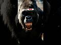 Hollywood Movies Calip | Ai movies trailerstrailerS #Short