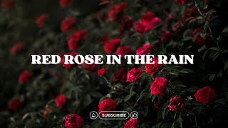Red Rose in the Rain 🌹 | Relaxing Piano & Rain Sounds for Study, Work ,Rest 🌧️ screenshot 1