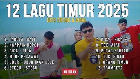 Kumpulan Lagu Timur Viral 2025 – Santai & Bikin Goyang
