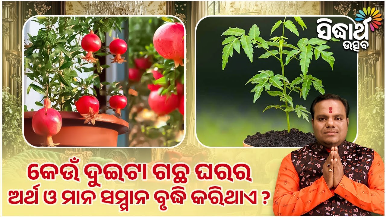 କେଉଁ ଦୁଇଟା ଗଛ ଘରର ଅର୍ଥ ଓ ମାନ ସମାନ ବୃଦ୍ଧି କରିଥାଏ | Jiban Jigyansha | Chitaranajan Mahapatra |