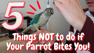 5 Things NOT to do When Your Parrot Bites | TheParrotTeacher