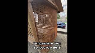 Что Где Когда 😂 Вопрос из Кишинева 🇲🇩🤌🍻