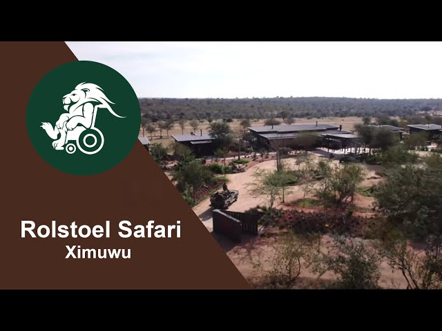 Rolstoel Safari - Ximuwu ♿️ ✅