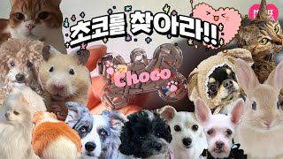 구독자 반려동물 네임택 만들기!!🐶 #레진아트