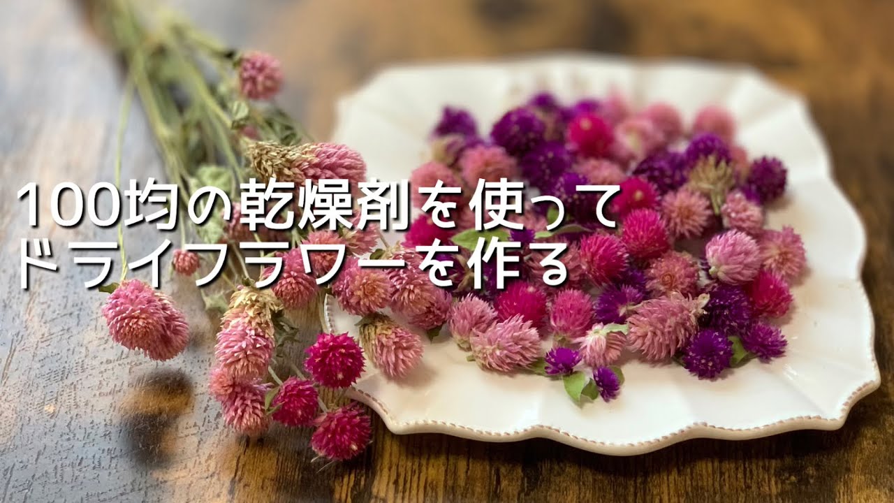 100均diy セリアの乾燥剤でドライフラワーを作る 自然乾燥と比べてみる Youtube