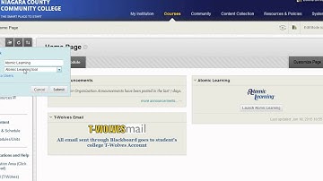 Adding Atomic Learning to Your Blackboard Course Menu