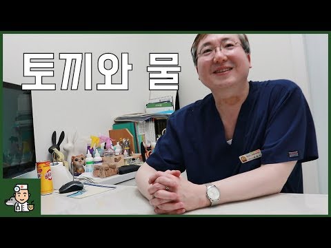 토끼 목욕과 물먹이기 -  아크리스 동물병원 - 박천식 수의사 - 펫칼리지