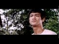 Bruce Lee - 6/12 - O Dragão Chinês (1971)
