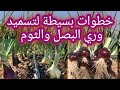 برنامج تسميد وري البصل والثوم حصريا علي قناة الزواوي الزراعية برنامج تسميد وري البصل والثوم حصريا علي قناة الزواوي الزراعية